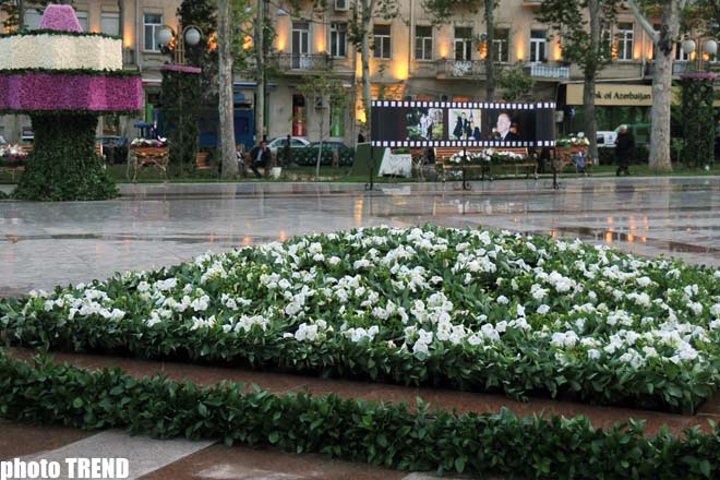 Holiday of Flowers celebrated in parks in Baku - PHOTO SESSION